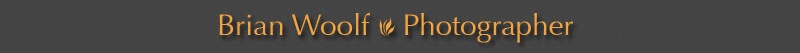 logo b